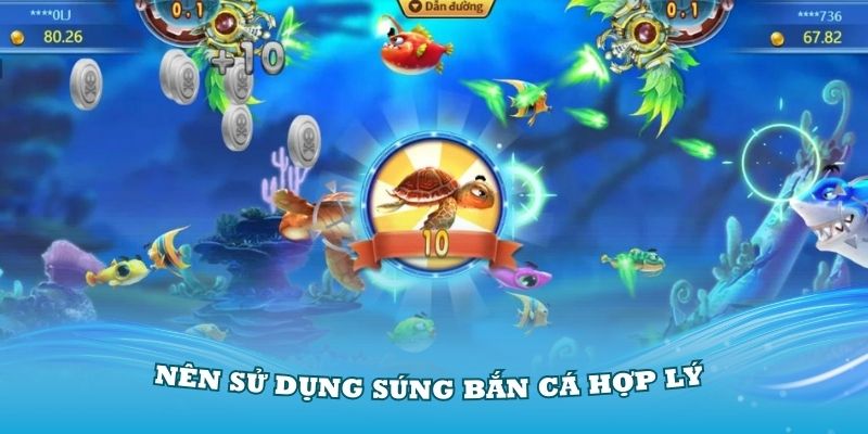 Những lý do thành viên nên sử dụng súng bắn cá hợp lý